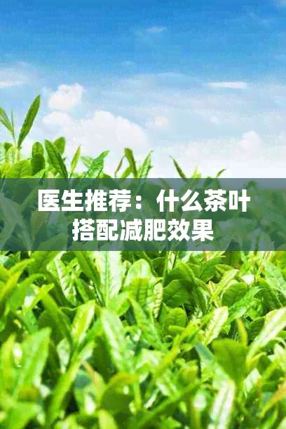 医生推荐：什么茶叶搭配减肥效果