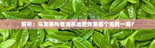 解析：乌龙茶与普洱茶减肥效果哪个更胜一筹？
