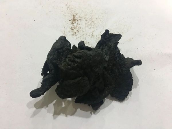 熟地黄大功效