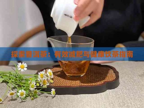 探索普洱茶：有效减肥与健康饮茶指南