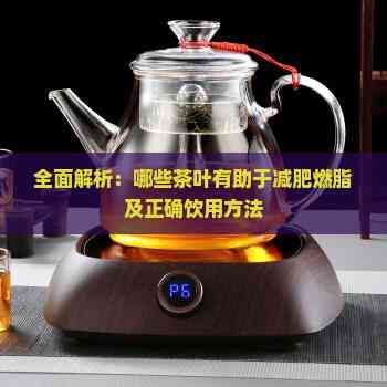 全面解析：哪些茶叶有助于减肥燃脂及正确饮用方法