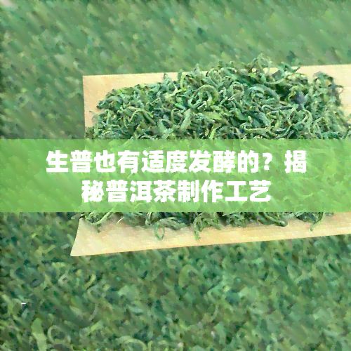 生普也有适度发酵的？揭秘普洱茶制作工艺
