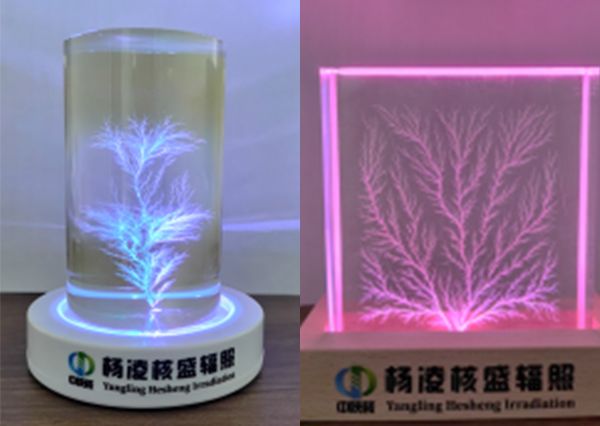 辐照特色产品
