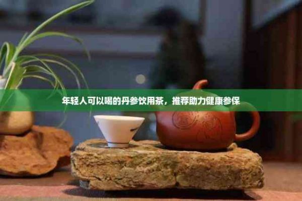 年轻人可以喝的丹参饮用茶，推荐助力健康参保