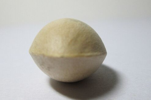 白果的热量及功效与作用2