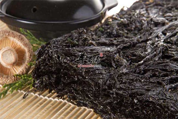 减肥不是一日之功 饮食调理很重要