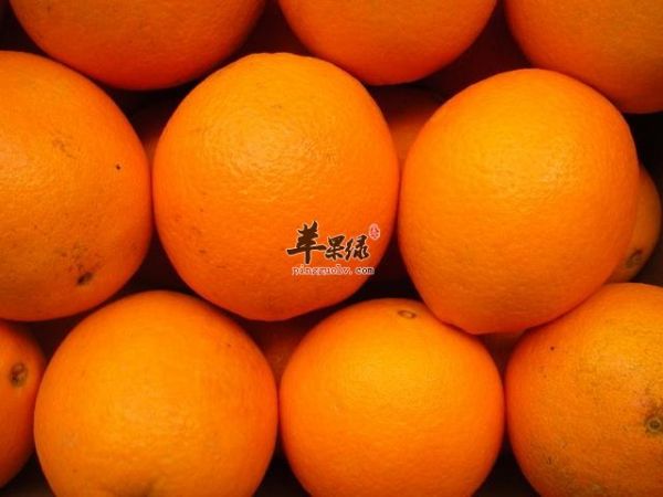 吃橙子的好处很多 能消食清肠防病