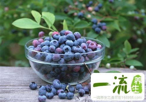 蓝莓营养价值 蓝莓怎么吃最有营养?