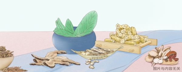 玉米须治疗痛风的方法 玉米须能治疗痛风吗 治疗痛风方法