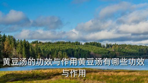 黄豆汤的功效与作用黄豆汤有哪些功效与作用