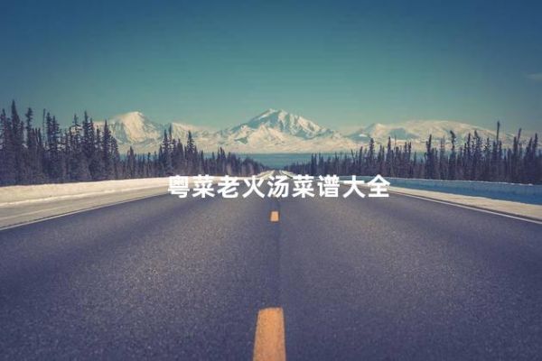 粤菜老火汤菜谱大全