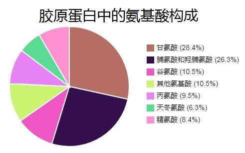素食主义者如何补充胶原蛋白
