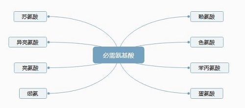 素食主义者如何补充胶原蛋白