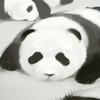 萌妈大S