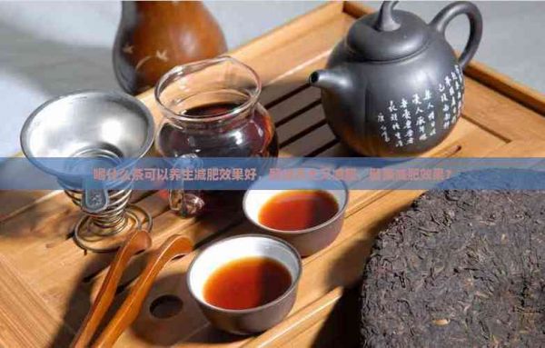 喝什么茶可以养生减肥效果好，既能养生又减肥，健康减肥效果？