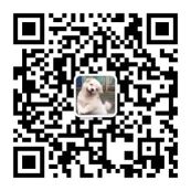 疫情期间，Mercado Libre平台各品类热搜词及热销品盘点