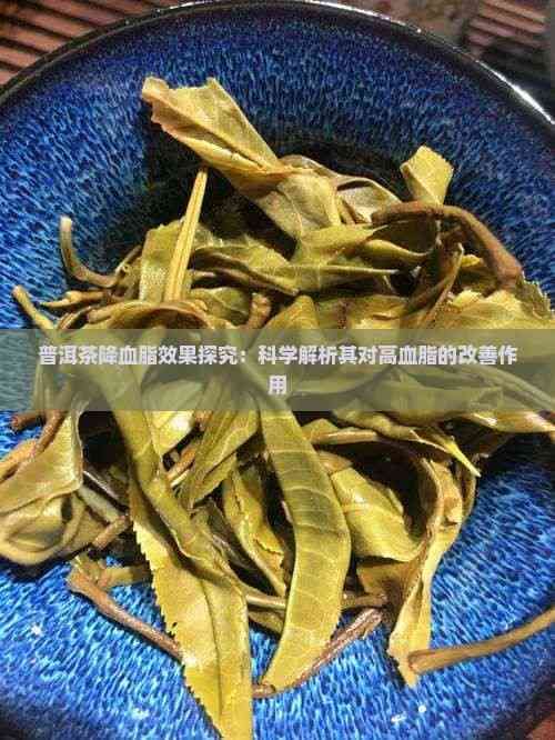 普洱茶降血脂效果探究：科学解析其对高血脂的改善作用