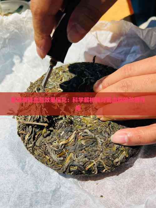 普洱茶降血脂效果探究：科学解析其对高血脂的改善作用