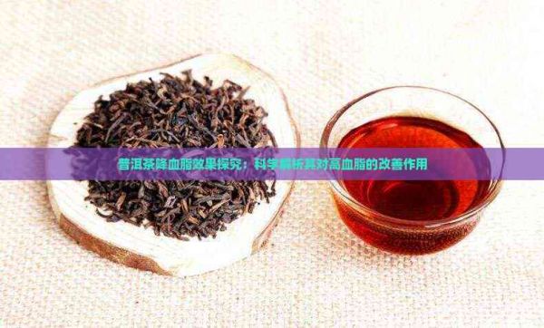 普洱茶降血脂效果探究：科学解析其对高血脂的改善作用