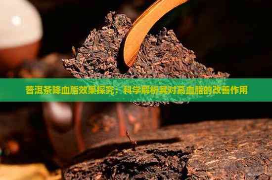 普洱茶降血脂效果探究：科学解析其对高血脂的改善作用