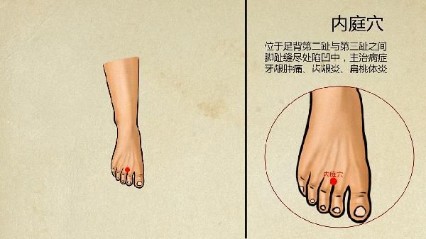 中医是怎么降血脂