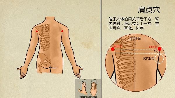 中医是怎么降血脂