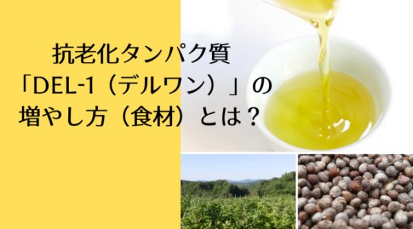 抗老化タンパク質「デルワン（DEL-1）」の増やし方（食材）とは？【カズレーザーと学ぶ。】