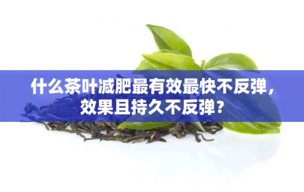 什么茶叶减肥最有效最快不反弹，效果且持久不反弹？
