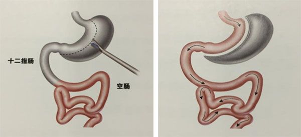 未标题-1.jpg