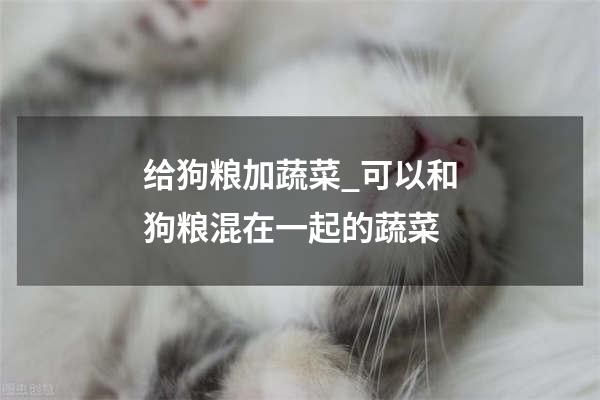 给狗粮加蔬菜_可以和狗粮混在一起的蔬菜