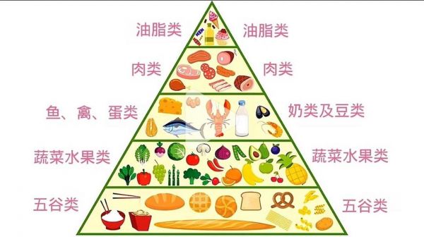 膳食金字塔图 膳食金字塔图片高清