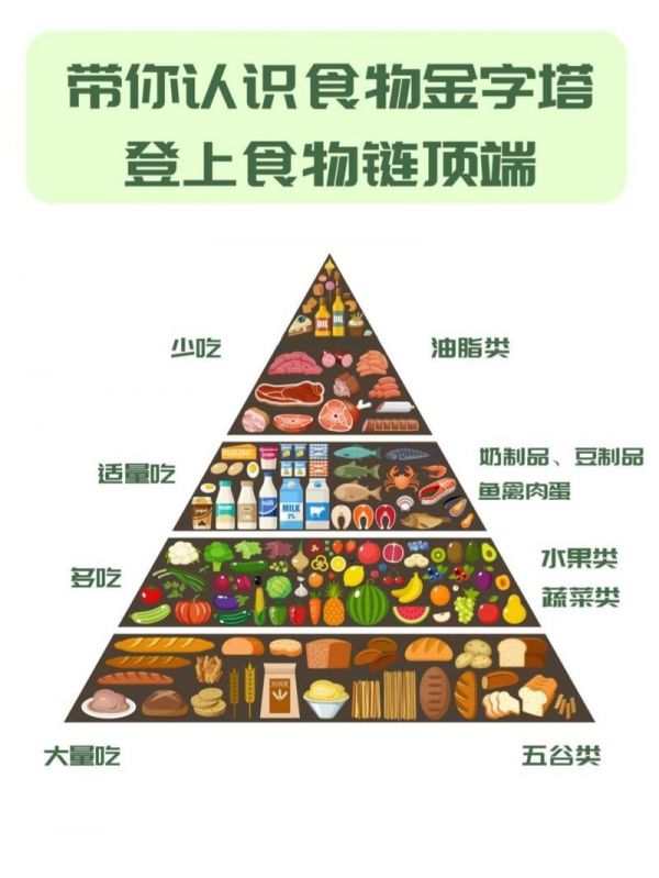 膳食金字塔图 膳食金字塔图片高清