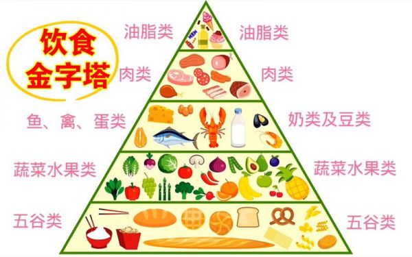 膳食金字塔图 膳食金字塔图片高清