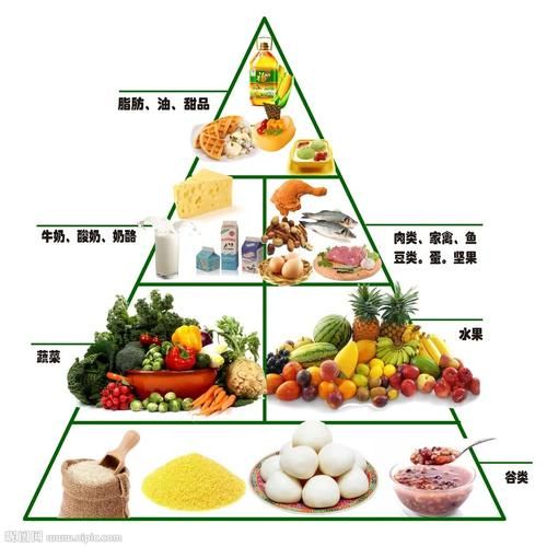 膳食金字塔图 膳食金字塔图片高清
