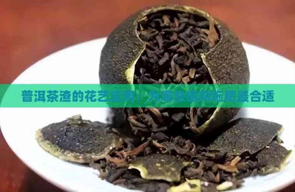 普洱茶渣的花艺应用：为哪些植物施肥最合适