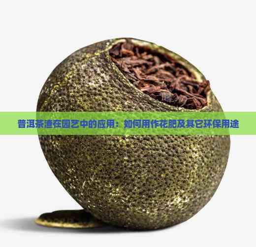 普洱茶渣在园艺中的应用：如何用作花肥及其它环保用途