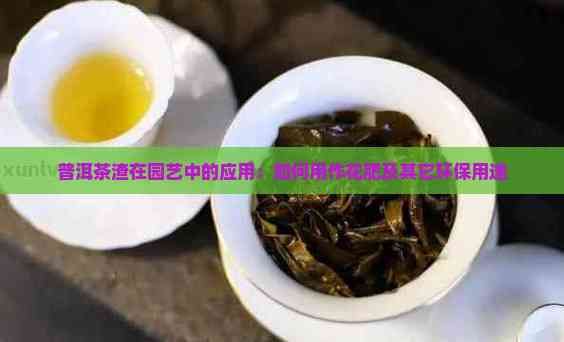 普洱茶渣在园艺中的应用：如何用作花肥及其它环保用途