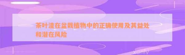 茶叶渣在盆栽植物中的正确使用及其益处和潜在风险