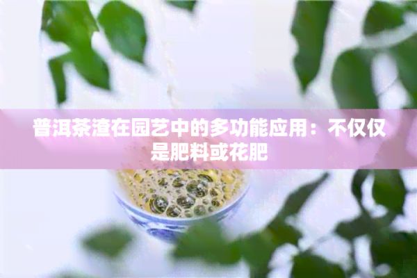 普洱茶渣在园艺中的多功能应用：不仅仅是肥料或花肥