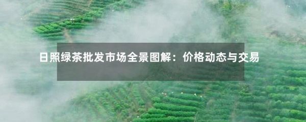 日照绿茶批发市场全景图解：价格动态与交易实录-第1张-绿茶-凤凰单丛茶网