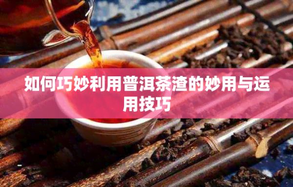 如何巧妙利用普洱茶渣的妙用与运用技巧