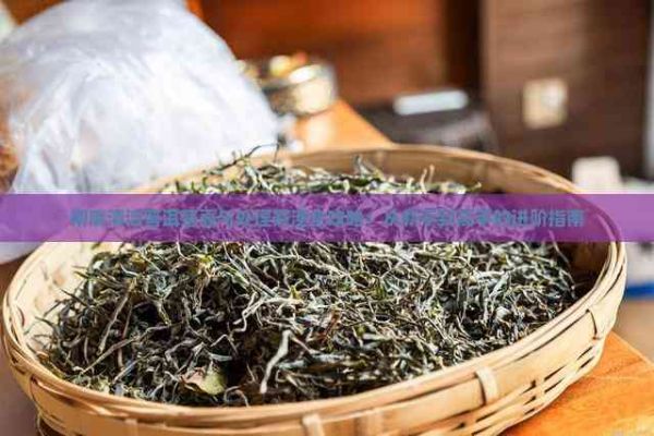 彻底清洁普洱茶壶与处理茶渣全攻略：从新手到高手的进阶指南