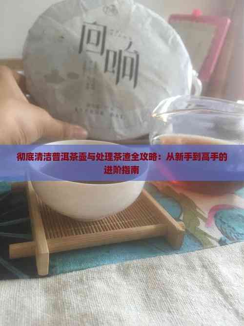 彻底清洁普洱茶壶与处理茶渣全攻略：从新手到高手的进阶指南