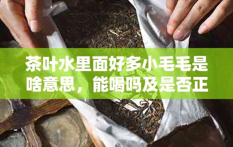 茶叶水里面好多小毛毛是啥意思，能喝吗及是否正常现象解析