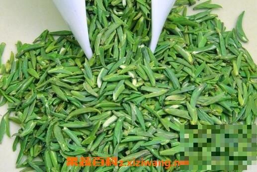 绿茶的副作用 喝绿茶的禁忌和注意事项