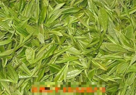 喝绿茶的禁忌 喝绿茶的副作用
