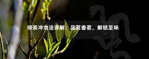 绿茶冲泡法详解：品茗香茗，解锁至味-第1张-绿茶-凤凰单丛茶网