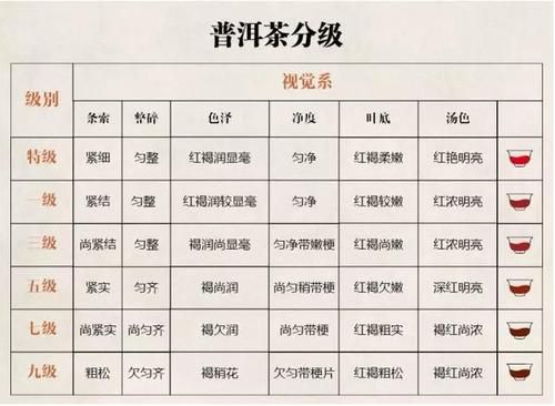 绿茶茶叶等级划分标准及购买指南