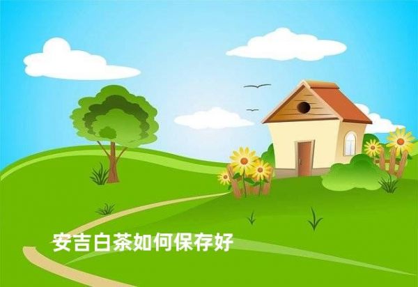 安吉白茶如何保存好