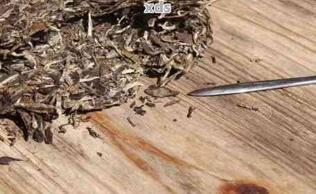 如何保存普洱茶渣不变质，巧妙运用茶渣的方法有哪些？